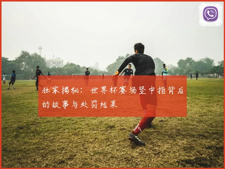 独家揭秘：世界杯赛场竖中指背后的故事与处罚结果