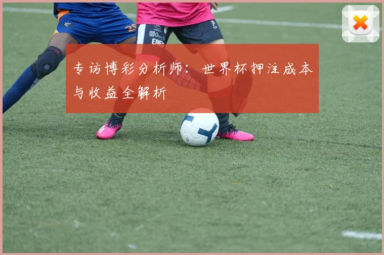 专访博彩分析师:世界杯押注成本与收益全解析