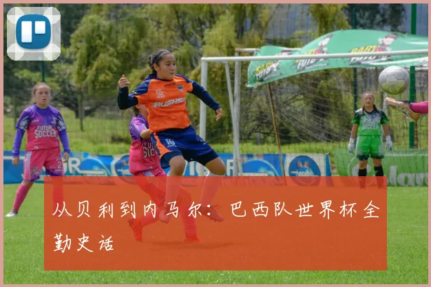 从贝利到内马尔：巴西队世界杯全勤史话