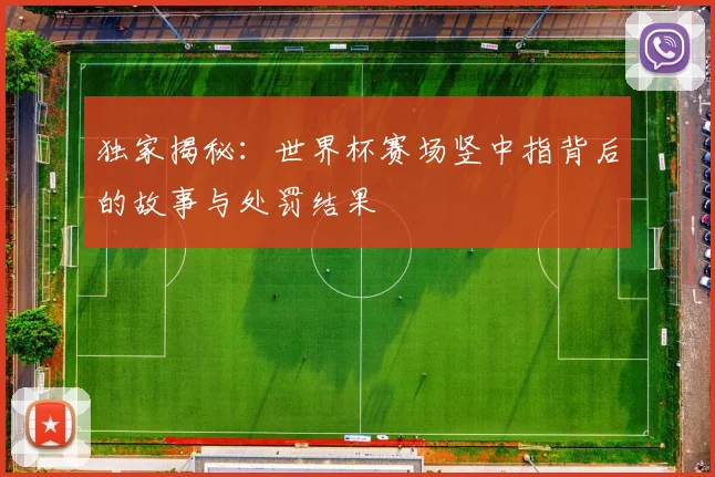 独家揭秘：世界杯赛场竖中指背后的故事与处罚结果