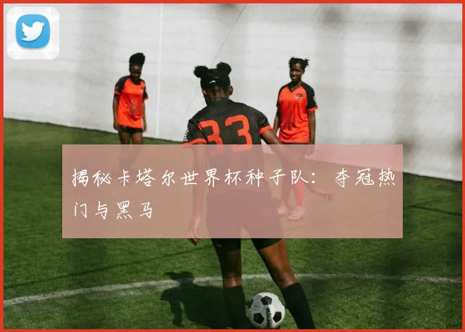 揭秘卡塔尔世界杯种子队:夺冠热门与黑马