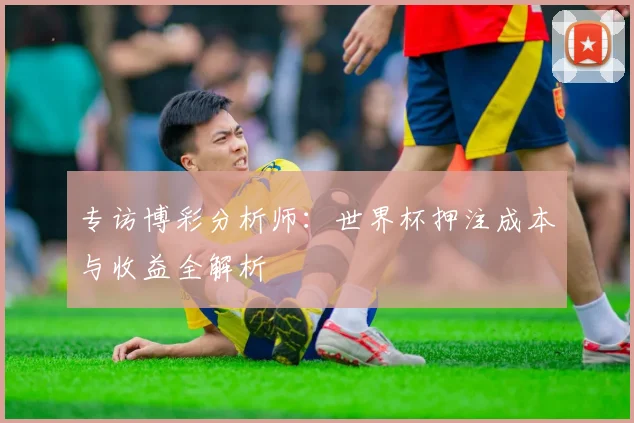 专访博彩分析师：世界杯押注成本与收益全解析