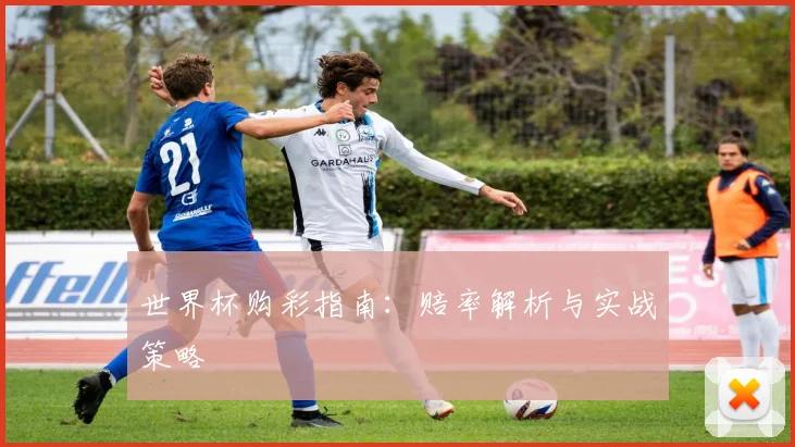 世界杯购彩指南：赔率解析与实战策略